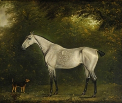 A Dappled Grey Hunter with a Terrier amongst the Trees by Clifton Tomson