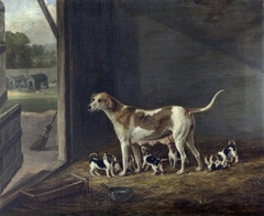 A Foxhound Bitch with her Litter in a Kennel by William Webb