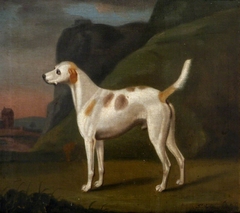 A White Dog with Brown Spots by Francis Sartorius