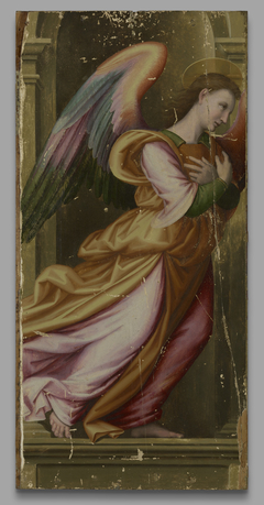 Angel in Adoration by Giovanni Antonio Sogliani