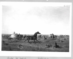 Araberpferde auf der Weide by Johann Gottlieb Prestel