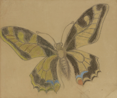 Butterfly (Old World Swallowtail) by Stanisław Wyspiański