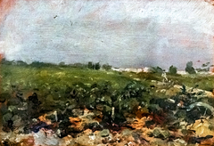 Céleyran, View of the vineyards by Henri de Toulouse-Lautrec