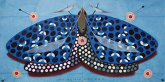 Chromatic butterfly - blue by federico cortese
