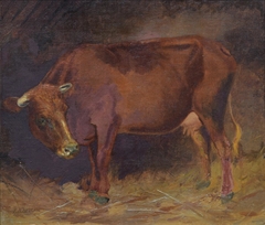 Cow by Francis Devlan