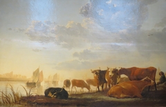 Cows in a River, at Sunset