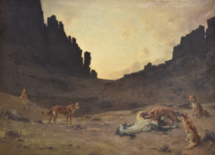 Dogs of the Douar devuring a dead horse