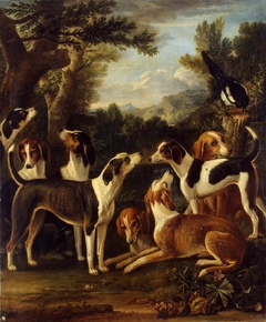 Hounds and a Magpie by John Wootton