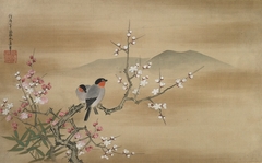 Java Sparrows on White and Pink Plum by Kanō Yasunobu