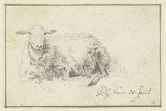 Liggend schaap, van voren by Pieter Gerardus van Os