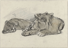 Liggende leeuw en leeuwin by Jan van Essen