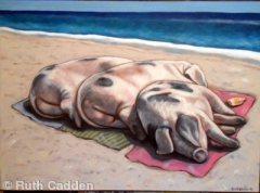 Pigs Bathing by Ruth Cadden