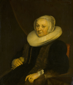 Portrait of a Lady by Jacob van Loo