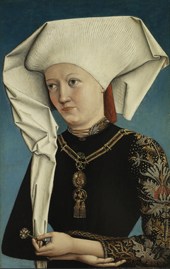 Portrait of a Lady wearing the Order of the Swan by Anonymous