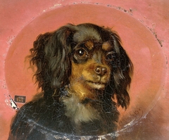 Portrait of a Puppy by Guillaume Anne van der Brugghen