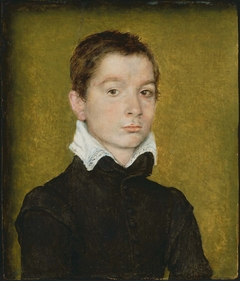 Portrait of a Young Man by Corneille de Lyon