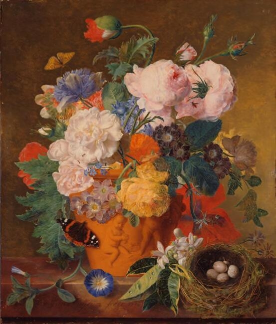 Roses and other flowers in a terracotta pot