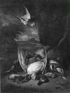 Stilife of many fold, dead birds, Landscape background by Jan Baptist Weenix