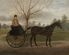 The Carriage Horse 'Minnie' with a Groom in a Buggy in the Grounds of Florence Court