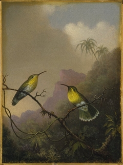 Two Humming Birds: "Copper-tailed Amazili"