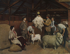 Weighing the fleece