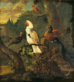 White Cockatoo and Other Birds by Willem Hendrik Wilhelmus van Royen
