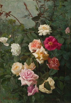 White, Pink, Yellow and Red Roses by George Cochran Lambdin