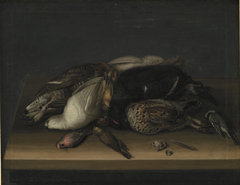 Wildfowl on a Wooden Table by Jacob Biltius