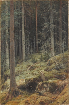 Wilds by Ivan Shishkin