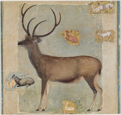 Wounded Buck with Vignettes of Animals by anonymous painter