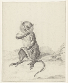 Zittend aapje, een vrucht etend