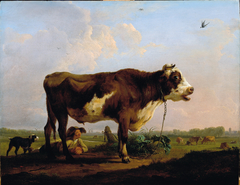 A Bull by Balthasar Paul Ommeganck