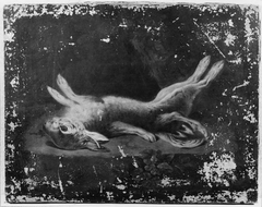 A Dead Malformed Hare by Cornelis van der Meulen