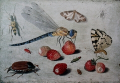A Dragon-fly, two Moths, a Spider and some Beetles, with wild Strawberries