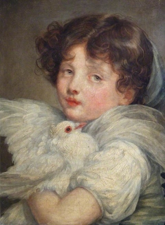 A Girl with a Dove