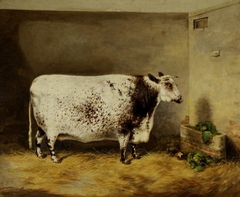 A Prize Shorthorn Cow by Thomas Walker Bretland