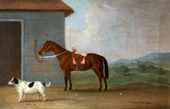 'Bounce', a Spaniel, with a Bay Horse by Francis Sartorius