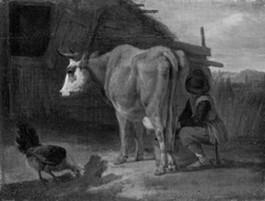 Brown cow milked by a shepherd
