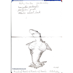 Carnet Bleu: Encyclopedia of…shark, vol.XIV p14 - by Pascal by Pascal Lecocq