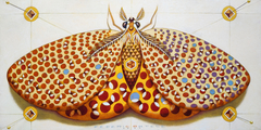 Chromatic butterfly - yellow by federico cortese