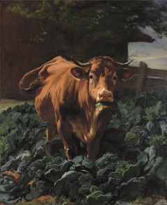 Cow in a Cabbage Field by Rudolf Koller