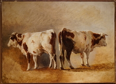 Cow study by Jacques Raymond Brascassat