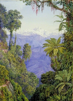 Distant View of Kinchinjunga from Darjeeling