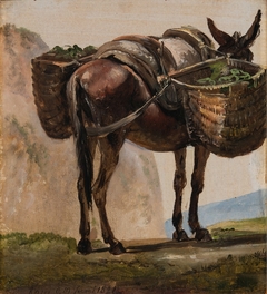 Donkey with Baskets