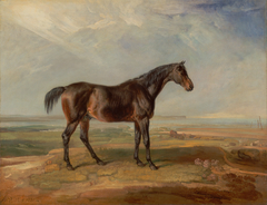 Dr. Syntax, a Bay Racehorse, Standing in a Coastal Landscape, an Estuary Beyond by James Ward