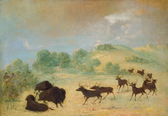 Elk and Buffalo Making Acquaintance, Texas by George Catlin