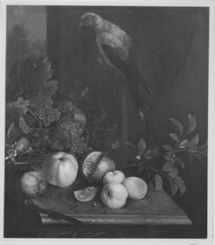 Früchtestück mit Papagei by Johann Christian Sperling
