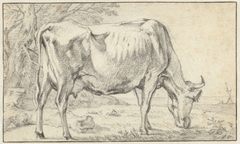 Grazende koe by Paulus Potter