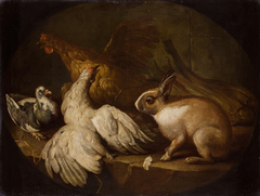 Hens, a Pigeon and a Rabbit by Giovanni Agostino Cassana