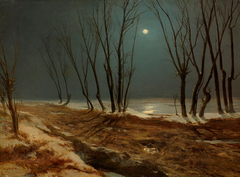 Landscape in Winter at Moonlight